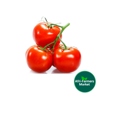 Tomatoes